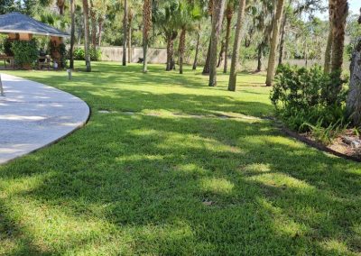 Professional Edging Service