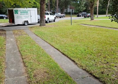 Professional Leaf Removal