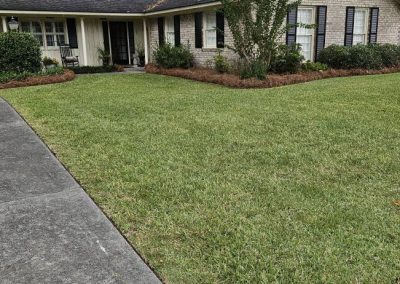 Professional Mowing Service