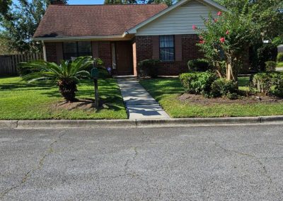 Professional Shrub Care