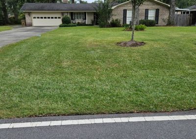 Professional Sod Installation
