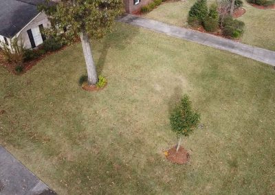 Quality Mowing Service