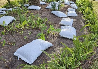 Reliable Mulching Service