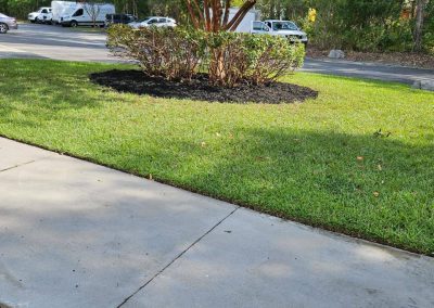 Reliable Trimming Service