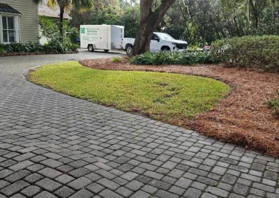 Reliable Yard Cleanout