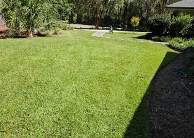 Reliable Yard Maintenance