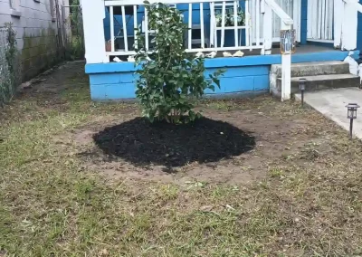 Mulching Services