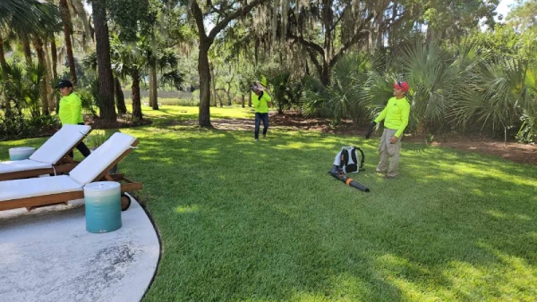 Reliable Yard Cleanout Yard Cleanout