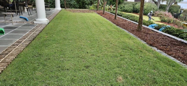 Reliable Yard Maintenance Yard Maintenance