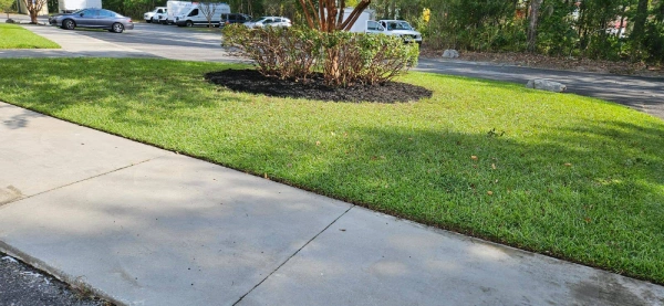 Reliable Leaf Removal Leaf Removal