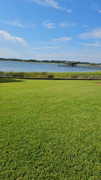 Reliable Sod Installation Sod Installation